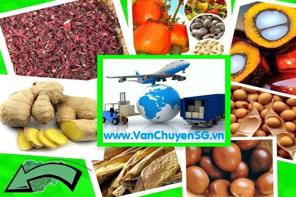 dich-vu-gui-thuc-pham-di-my-gia-re